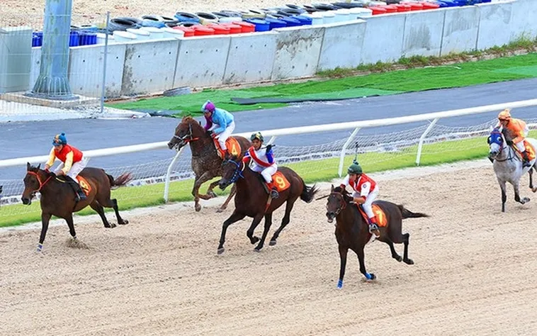 So Sánh Và Lựa Chọn Cá Cược Đua Ngựa Topbet379 Với Các Nền Tảng Khác 2 So Sánh Và Lựa Chọn Cá Cược Đua Ngựa Topbet379 Với Các Nền Tảng Khác