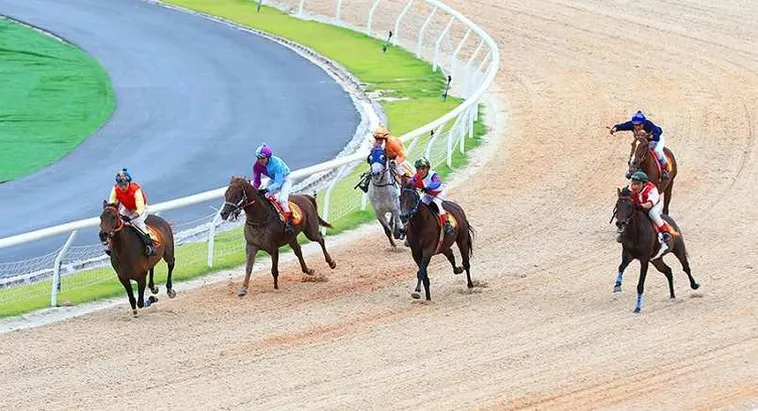 Khám Phá Cá Cược Đua Ngựa 79Win: Tăng Tính Thuyết Phục 2 Khám Phá Cá Cược Đua Ngựa 79Win: Tăng Tính Thuyết Phục