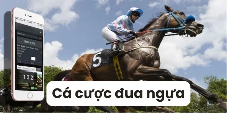 So Sánh Và Lựa Chọn Cá Cược Đua Ngựa Topbet379 Với Các Nền Tảng Khác